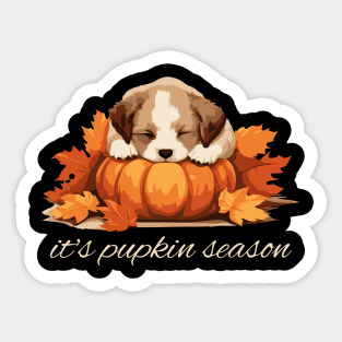 It's Pupkin Season Cute Pumpkin and Puppy Fall Vibes Sticker